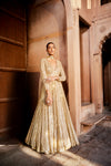 Floor Length Georgette Anarkali Gown with Striped Embroidery Pattern