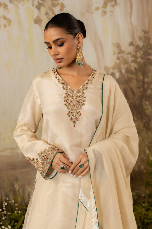 Champagne Tissue EmbroideRed Kurta Set
