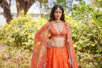 "Anahita" Lehenga Set