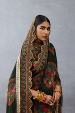 Dil Shaad Aiman Saree