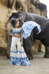 Ivory Kota Doria Hand Painted Sharara With Denim Embellished Bustier & Cape