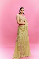 "Deya" Chiffon Panelled Lehenga with a Blouse and Dupatta