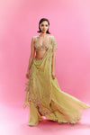 "Deya" Chiffon Panelled Lehenga with a Blouse and Dupatta