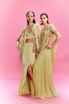 "Deya" Chiffon Panelled Lehenga with a Blouse and Dupatta