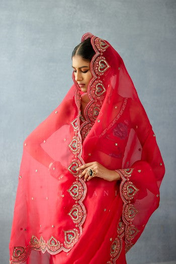 Dil Surkh Samila Saree