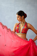 Dil Surkh Samila Blouse