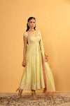 BOTTLE GOURD ANARKALI SET