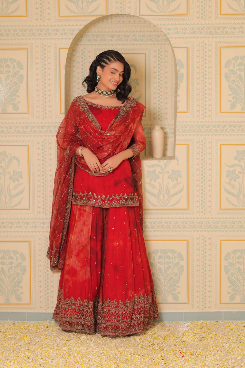 Anaari red kurta and sharara with dupatta