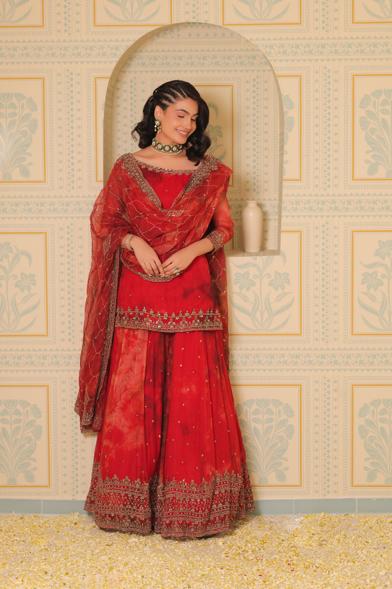 Anaari red kurta and sharara with dupatta