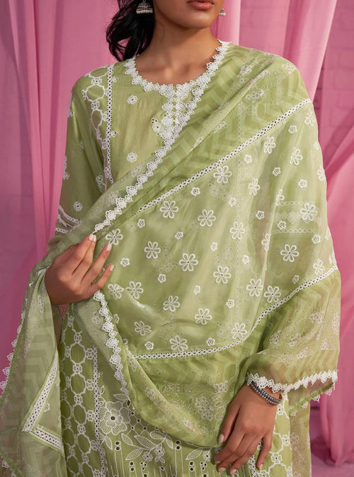 Dhitya Set-Avena Dupatta - Green