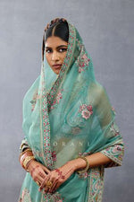 Dil Nawaz Rubeka Saree