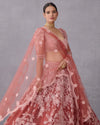 GULBAAG HANSINI LEHENGA SET