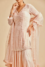 BABY PINK SHARARA SET