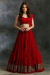 Red Sequins Lehenga with Gold Border