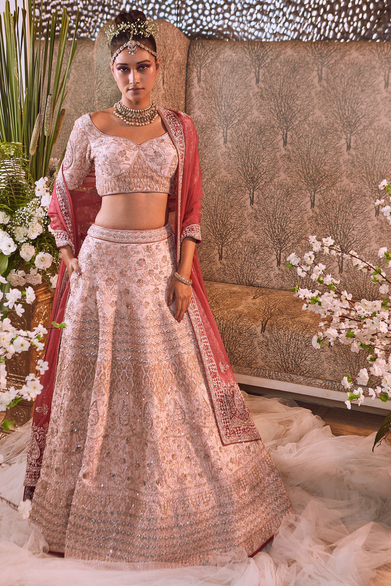 Lehenga Blouse - Raw Silk, Dupatta- Organza-Peach Dust