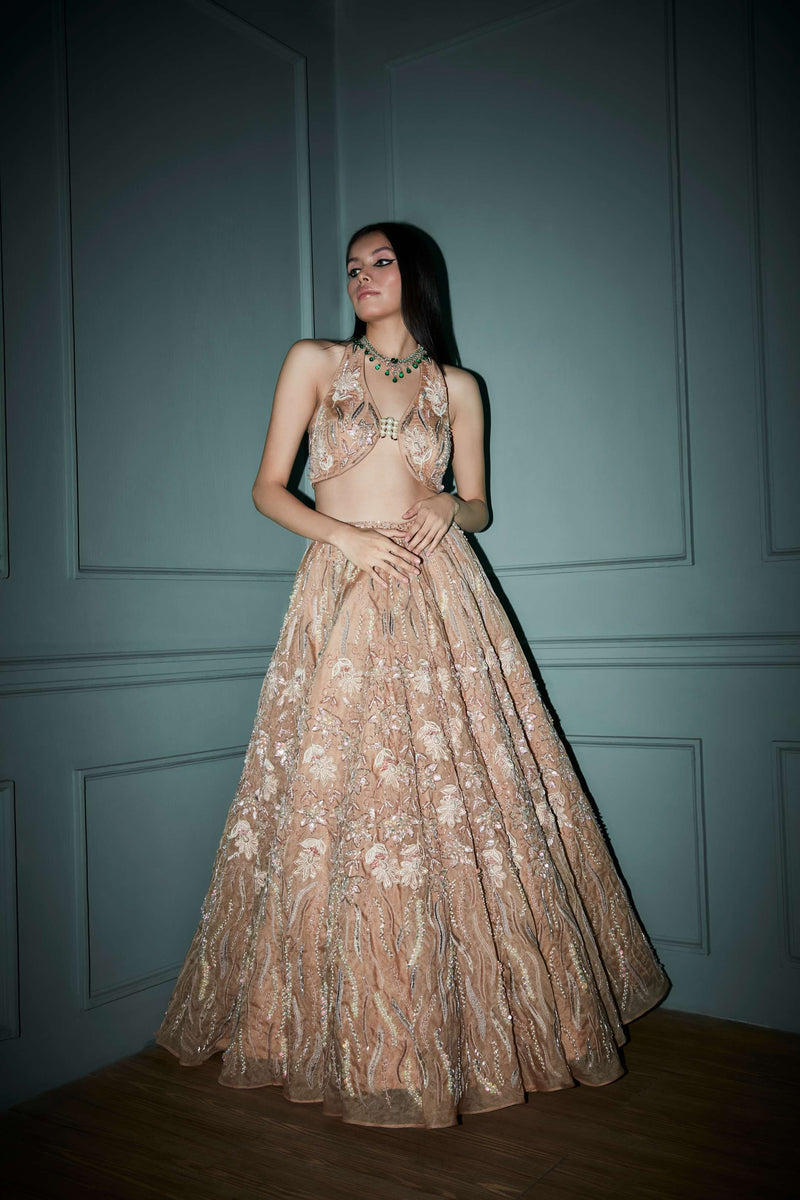 Desert Dust Lehenga Set