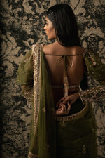 Olive Saree