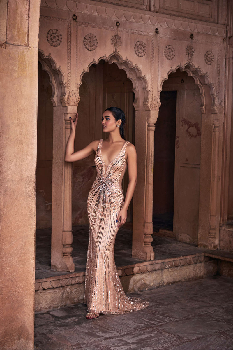 CHAMPAGNE GOLD EMBROIDERED GOWN