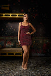 Maroon Embellished Mini Dress