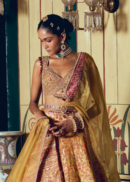 Classic Kalidar Lehenga Set