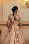 Classic Kalidar Lehenga Set