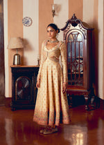 Classic Kalidar Anarkali Set