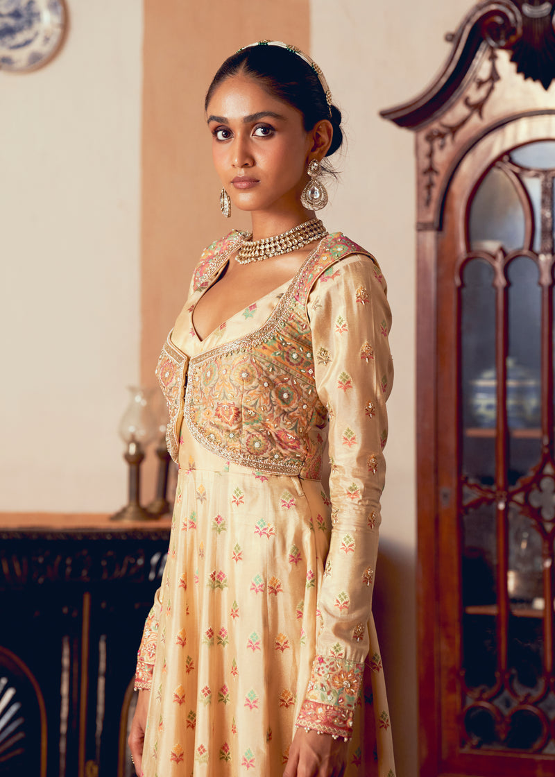 Classic Kalidar Anarkali Set