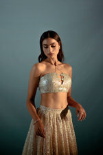 Nude ecream gota & sequin lehnega set