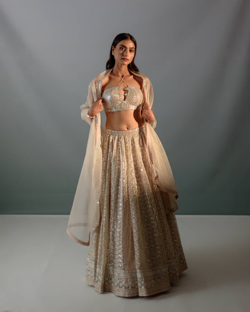 Nude ecream gota & sequin lehnega set