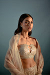 Nude ecream gota & sequin lehnega set