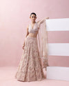 PEACH LACE LEHENGA WITH 3D APPLIQUES AND TIE UP BLOUSE WITH TULLE DUPATTA