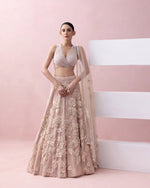 PEACH LACE LEHENGA WITH 3D APPLIQUES AND TIE UP BLOUSE WITH TULLE DUPATTA