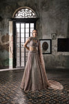 Multicolor Lehenga With Hand Embroidered Blouse and Tulle Veil