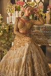 Ombre Gold & Silver Lehenga