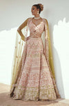 Light rust bridal lehenga