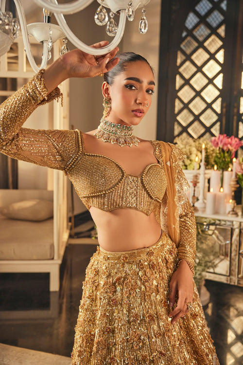 Ombre Gold & Silver Lehenga