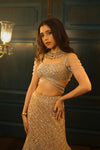 Light Gold Organza Net Embroidered Fish-Cut Lehenga Set