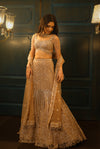 Light Gold Organza Net Embroidered Fish-Cut Lehenga Set