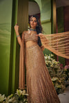 Noor Copper Fishcut Lehenga Saree
