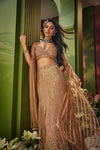 Noor Copper Fishcut Lehenga Saree