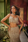 Rose Gold Fishcut Lehenga