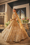 Ombre Gold & Silver Lehenga