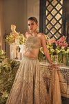 Zara Ombre Gold Lehenga