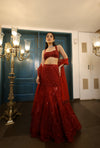 Red Net Sequins Embroidered Fish-Cut Lehenga Set
