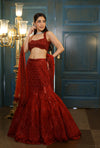 Red Net Sequins Embroidered Fish-Cut Lehenga Set