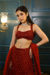 Red Net Sequins Embroidered Fish-Cut Lehenga Set