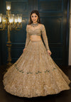 Gold Net Floral Embroidered Lehenga Set