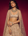 Nude Gold feather Lehenga