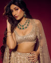 Nude Gold feather Lehenga