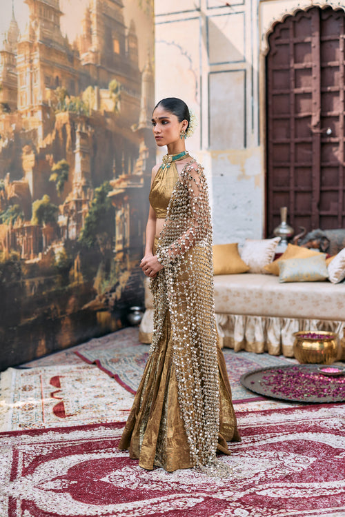 Mandira Lehenga Set